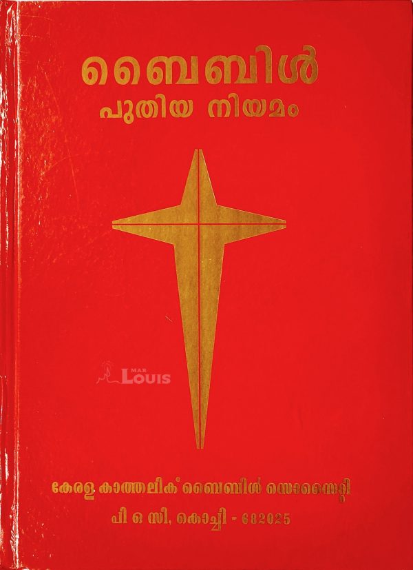 BIBLE പുതിയ നിയമം-125