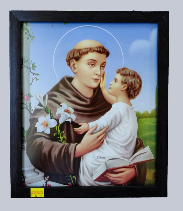 1125-WALLFRAME