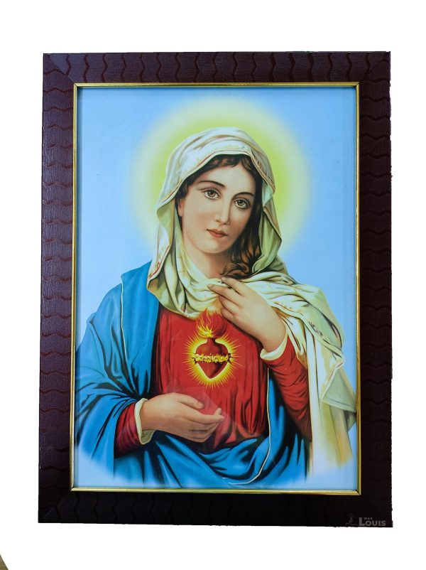 sacred heart of mary    320 M-PICTURE