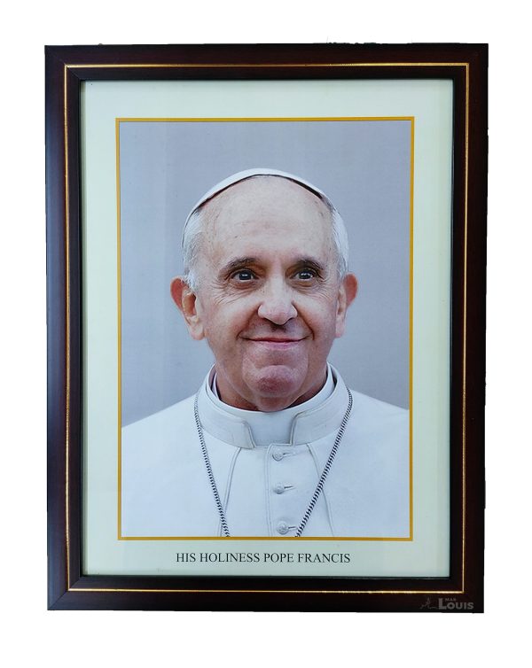 POPE FRANCIS   500 M-PICTURE