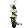 350-FL FLOWER - Image 2